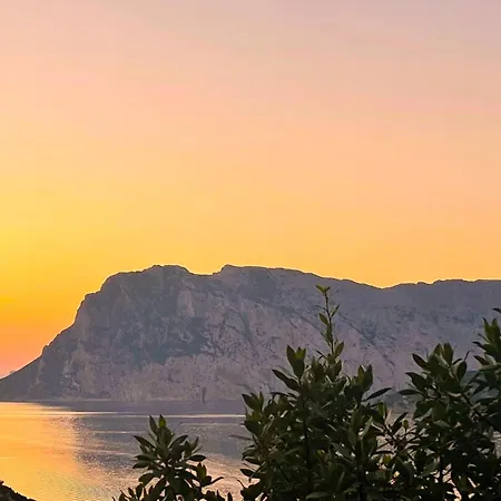 Apartman Punta Est - Trilo Corallo Piscina E Vista Mare *